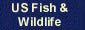 US Fish & Wildlife