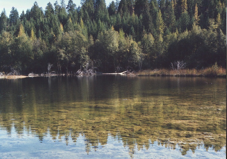 Nicholas Lake