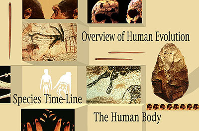 Human Origins Title