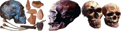 http://www.wsu.edu/gened/learn-modules/top_longfor/timeline/h-sapiens-sapiens/images/a-skulls-artifacts.jpeg
