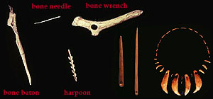 homo sapiens tools